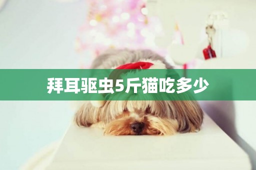 拜耳驅蟲5斤貓吃多少