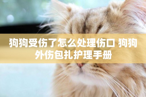 狗狗受傷了怎么處理傷口 狗狗外傷包扎護理手冊