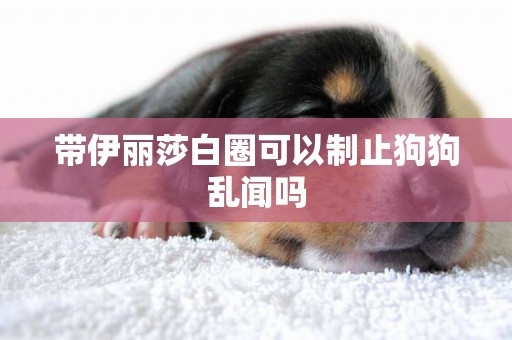 帶伊麗莎白圈可以制止狗狗亂聞嗎