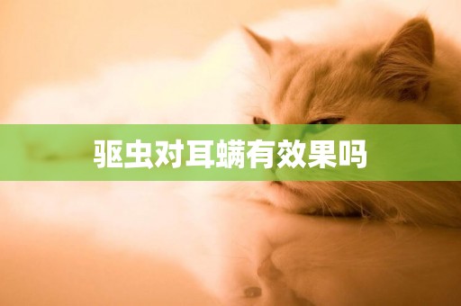 驅蟲對耳螨有效果嗎