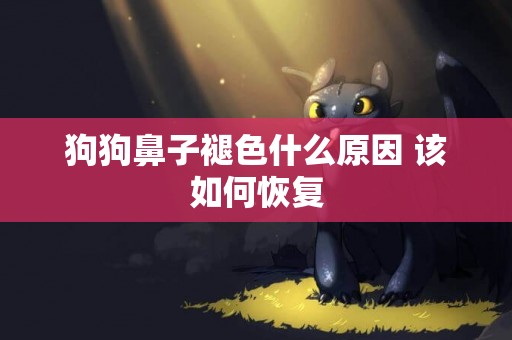 狗狗鼻子褪色什么原因 該如何恢復
