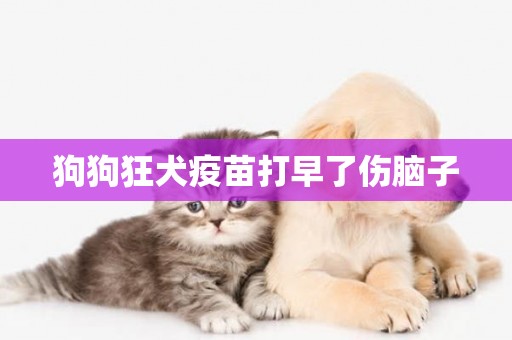 狗狗狂犬疫苗打早了傷腦子