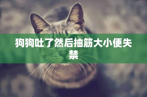 狗狗吐了然后抽筋大小便失禁