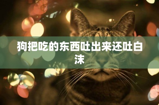 狗把吃的東西吐出來還吐白沫