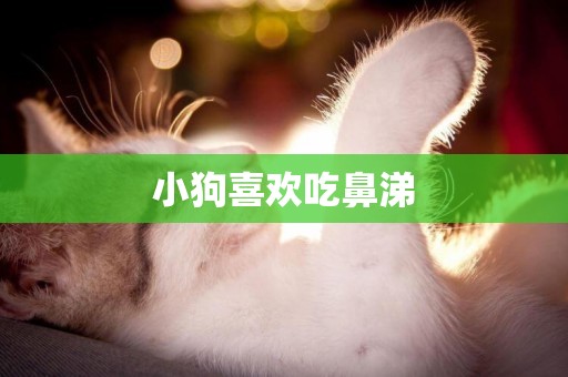 小狗喜歡吃鼻涕