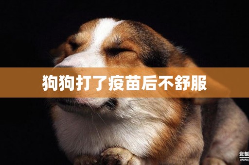 狗狗打了疫苗后不舒服