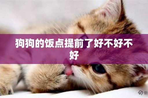 狗狗的飯點提前了好不好不好