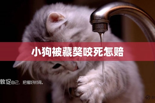 小狗被藏獒咬死怎賠