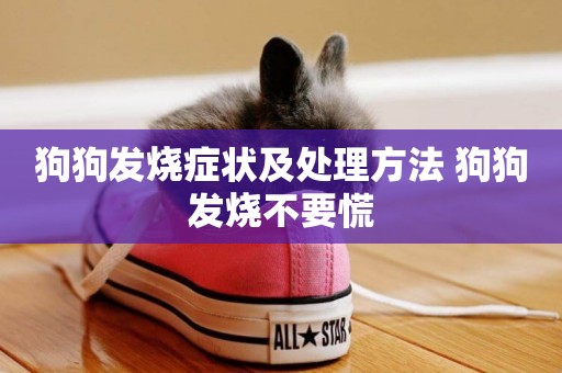 狗狗發燒癥狀及處理方法 狗狗發燒不要慌