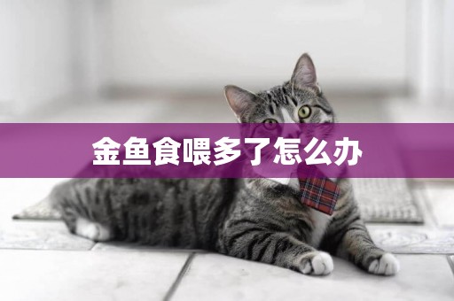 金魚食喂多了怎么辦