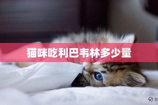 貓咪吃利巴韋林多少量