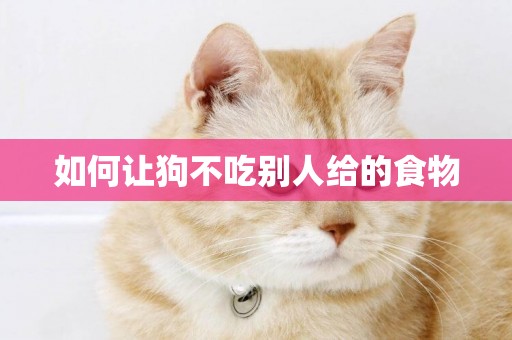 如何讓狗不吃別人給的食物