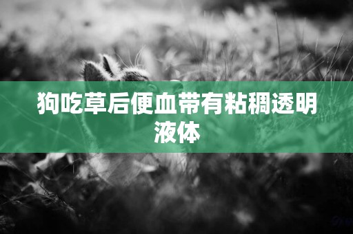 狗吃草后便血帶有粘稠透明液體