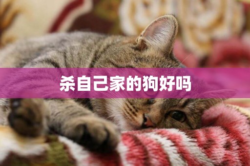 殺自己家的狗好嗎