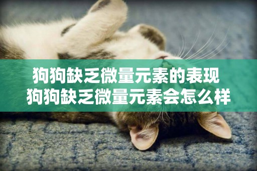 狗狗缺乏微量元素的表現 狗狗缺乏微量元素會怎么樣 狗狗缺乏微量元素的表現 狗狗缺乏微量元素會怎么樣