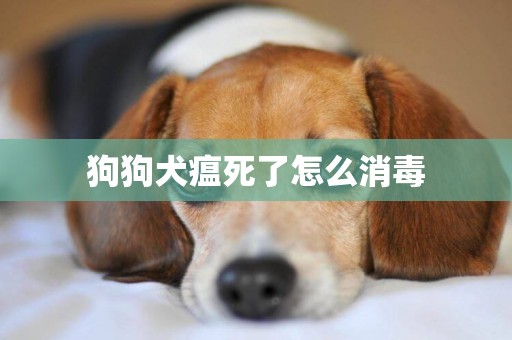 狗狗犬瘟死了怎么消毒