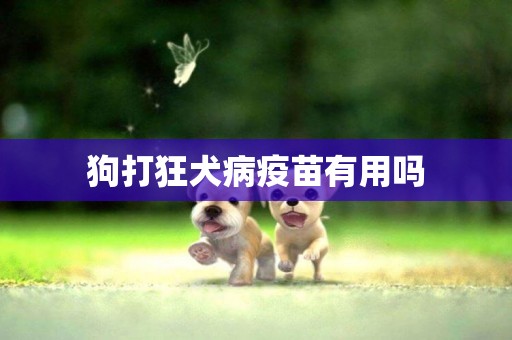 狗打狂犬病疫苗有用嗎