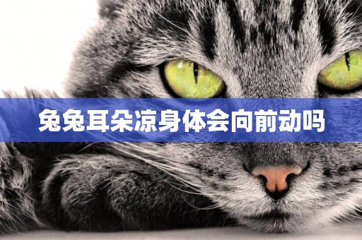 兔兔耳朵涼身體會向前動嗎