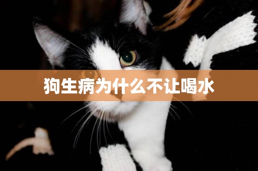 狗生病為什么不讓喝水