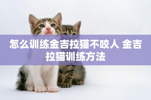 怎么訓練金吉拉貓不咬人 金吉拉貓訓練方法