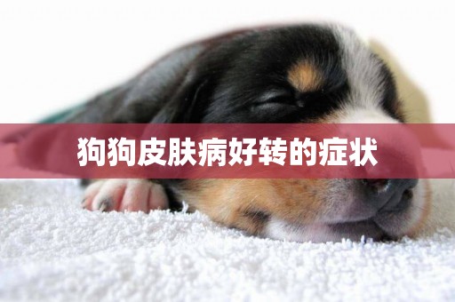 狗狗皮膚病好轉的癥狀