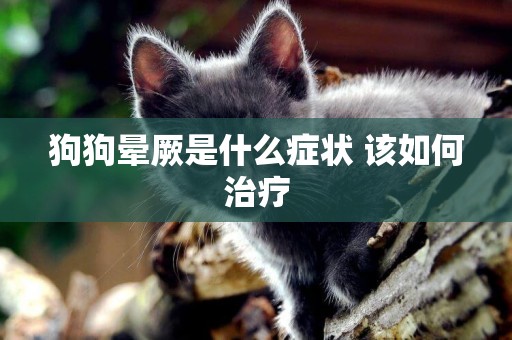 狗狗暈厥是什么癥狀 該如何治療