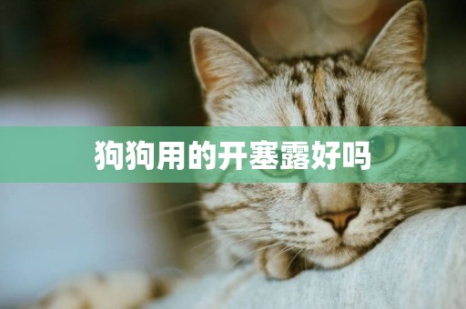 狗狗用的開塞露好嗎