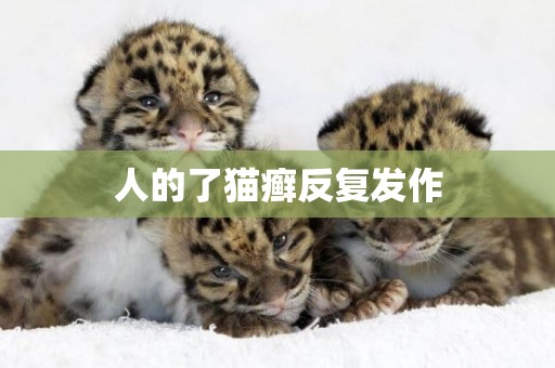 人的了貓癬反復發作