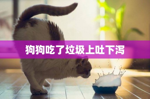 狗狗吃了垃圾上吐下瀉