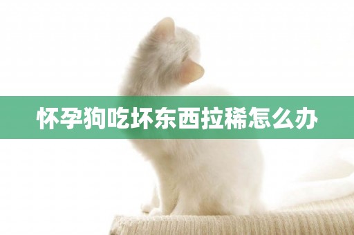 懷孕狗吃壞東西拉稀怎么辦
