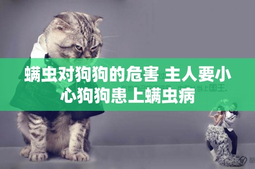 螨蟲對狗狗的危害 主人要小心狗狗患上螨蟲病
