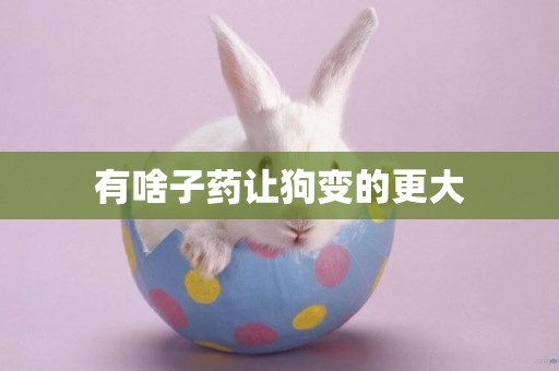 有啥子藥讓狗變的更大