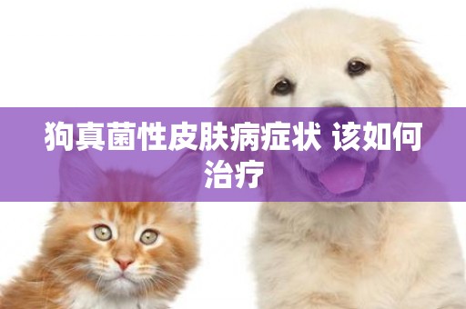 狗真菌性皮膚病癥狀 該如何治療