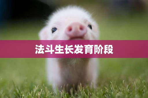 法斗生長發育階段