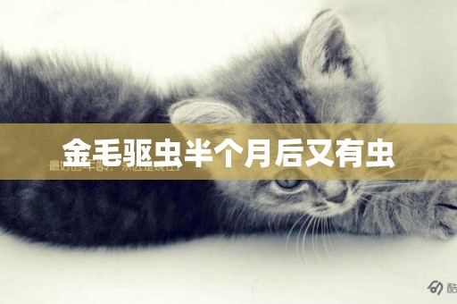 金毛驅蟲半個月后又有蟲