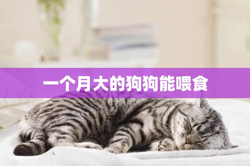 一個月大的狗狗能喂食