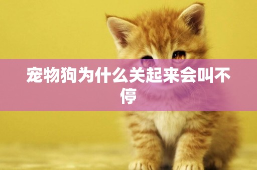 寵物狗為什么關起來會叫不停