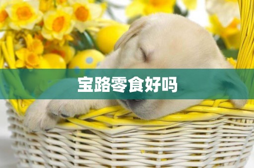 寶路零食好嗎