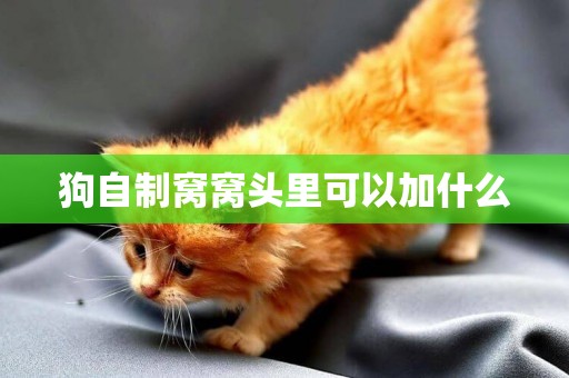 狗自制窩窩頭里可以加什么