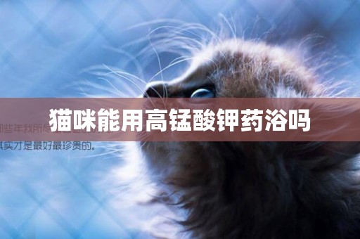 貓咪能用高錳酸鉀藥浴嗎