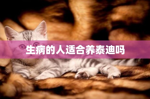 生病的人適合養泰迪嗎