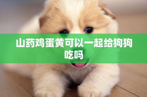 山藥雞蛋黃可以一起給狗狗吃嗎