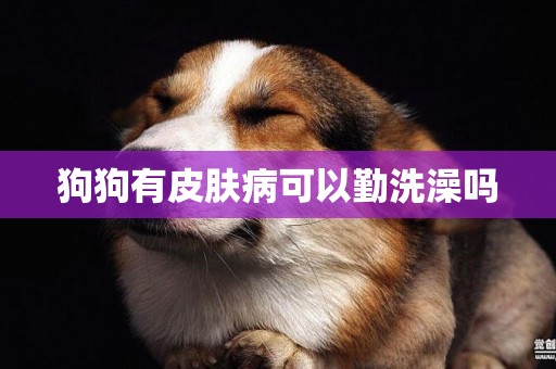 狗狗有皮膚病可以勤洗澡嗎