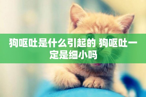 狗嘔吐是什么引起的 狗嘔吐一定是細小嗎
