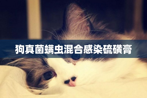 狗真菌螨蟲混合感染硫磺膏
