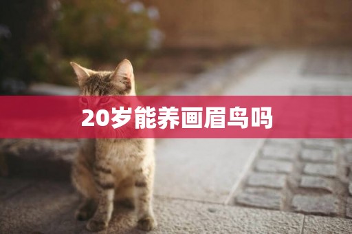 20歲能養畫眉鳥嗎