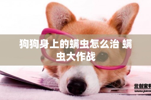 狗狗身上的螨蟲怎么治 螨蟲大作戰