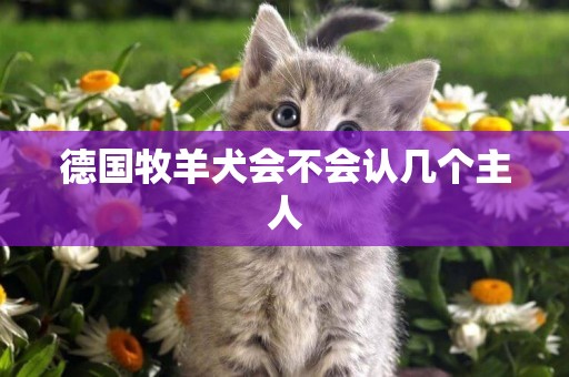 德國牧羊犬會不會認幾個主人