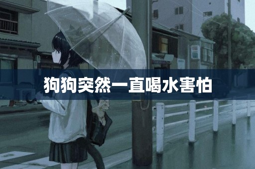 狗狗突然一直喝水害怕