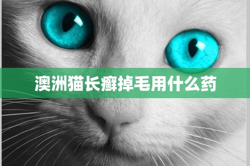 澳洲貓長癬掉毛用什么藥